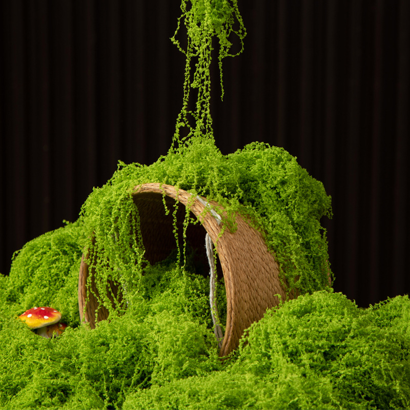 Terrarium Moss Art - 200g 영원한 생명 이끼 DIY 공예