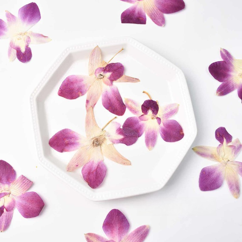 Resin Craft Material - 4개, 실제 압화 나비 난초 꽃
