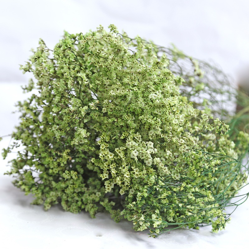 Dried Flower Bulk - 자연 신선한 말린 보존 꽃 크리스탈