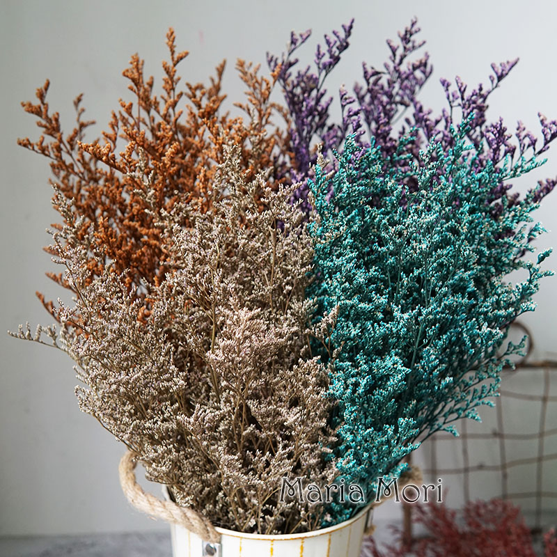 Dried Flower Bulk - 50g/보존된 발렌타인 그래스 리모니움 꽃 연인의