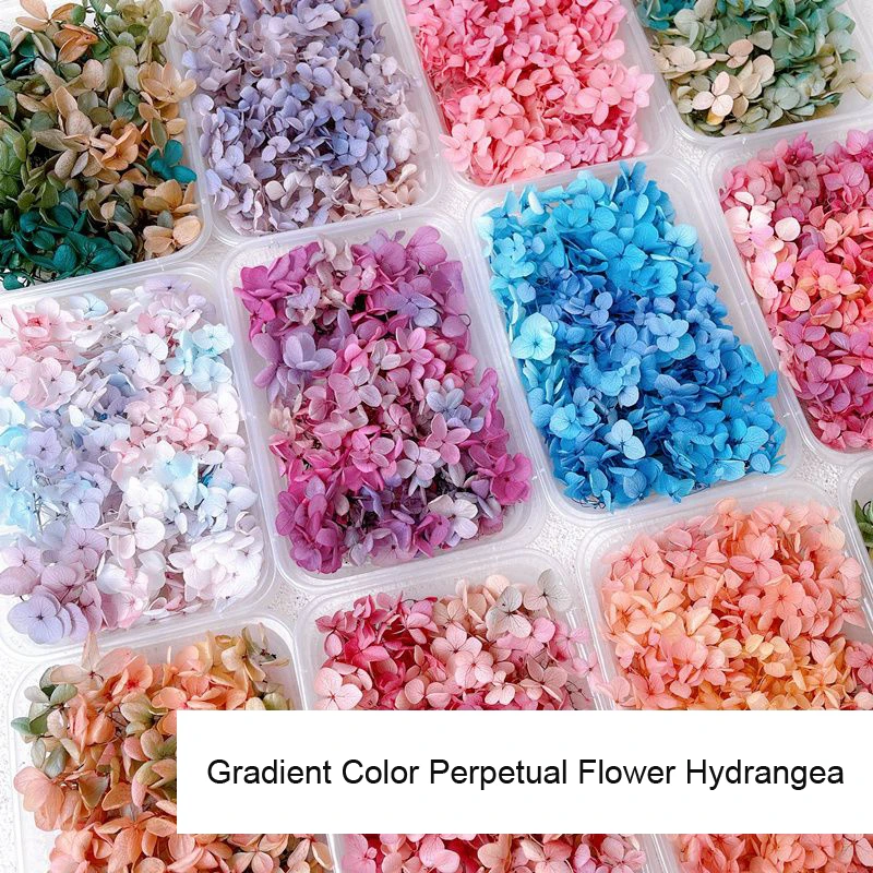 천연 꽃 네일 장식 천연 꽃 스티커, 혼합 건조 꽃 D - Dried Flower Bulk 리뷰 및 가격