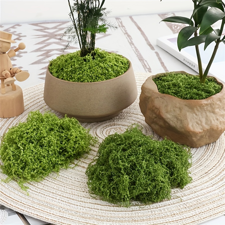 인공 가짜 이끼, 1.05 OZ DIY 시뮬레이션 이끼 - Terrarium Moss Art 리뷰 및 가격