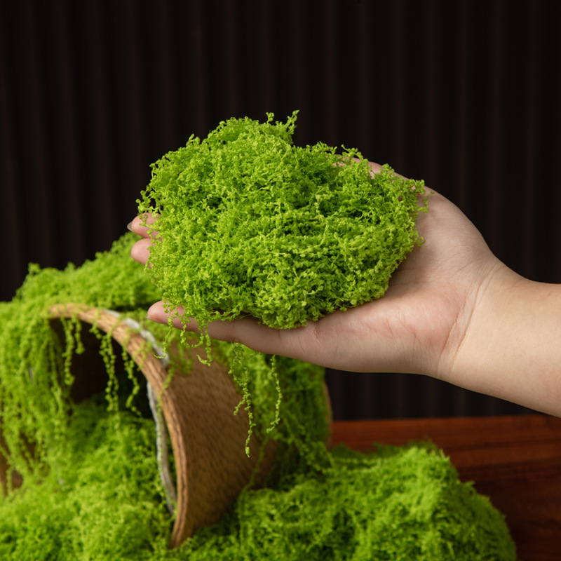 200g 영원한 생명 이끼 DIY 공예 잔디 인공 녹색 - Terrarium Moss Art 리뷰 및 가격