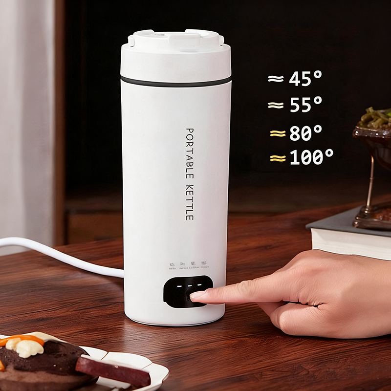 4단 6단 기어 EU UK US 플러그 220V 110 - Vacuum Chamber Small 리뷰 및 가격
