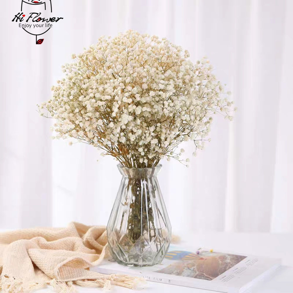 자연 말린 꽃 보존 된 Gypsophila Panicu - Dried Flower Bulk 리뷰 및 가격