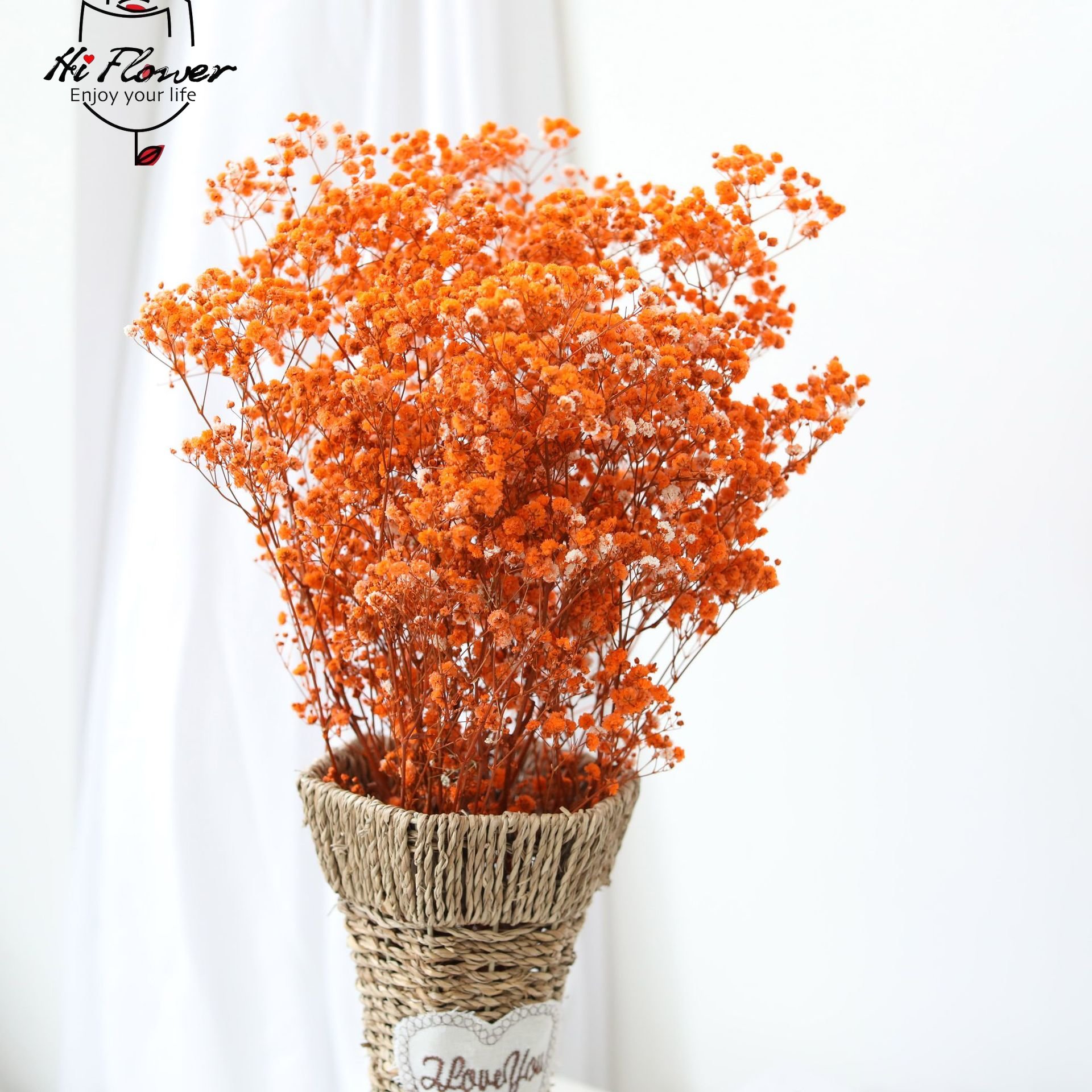 자연 말린 꽃 보존 된 Gypsophila Panicu - Dried Flower Bulk 리뷰 및 가격