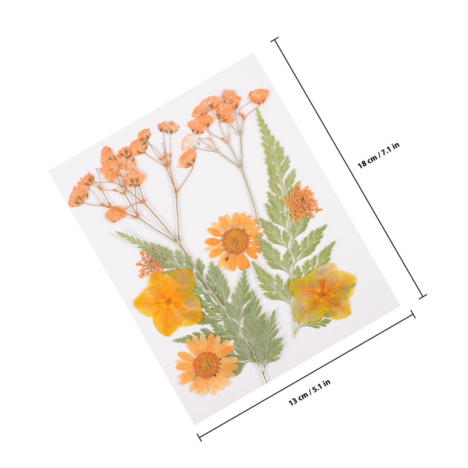 말린 꽃 장식 재료 3종 세트 레진 엠보싱 화려한 꽃잎 - Resin Craft Material 리뷰 및 가격