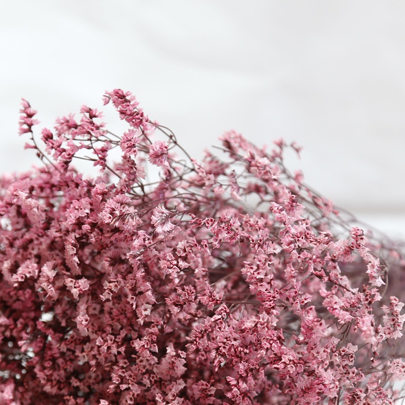 자연 신선한 말린 보존 꽃 크리스탈 잔디 Diy 선물  - Dried Flower Bulk 리뷰 및 가격