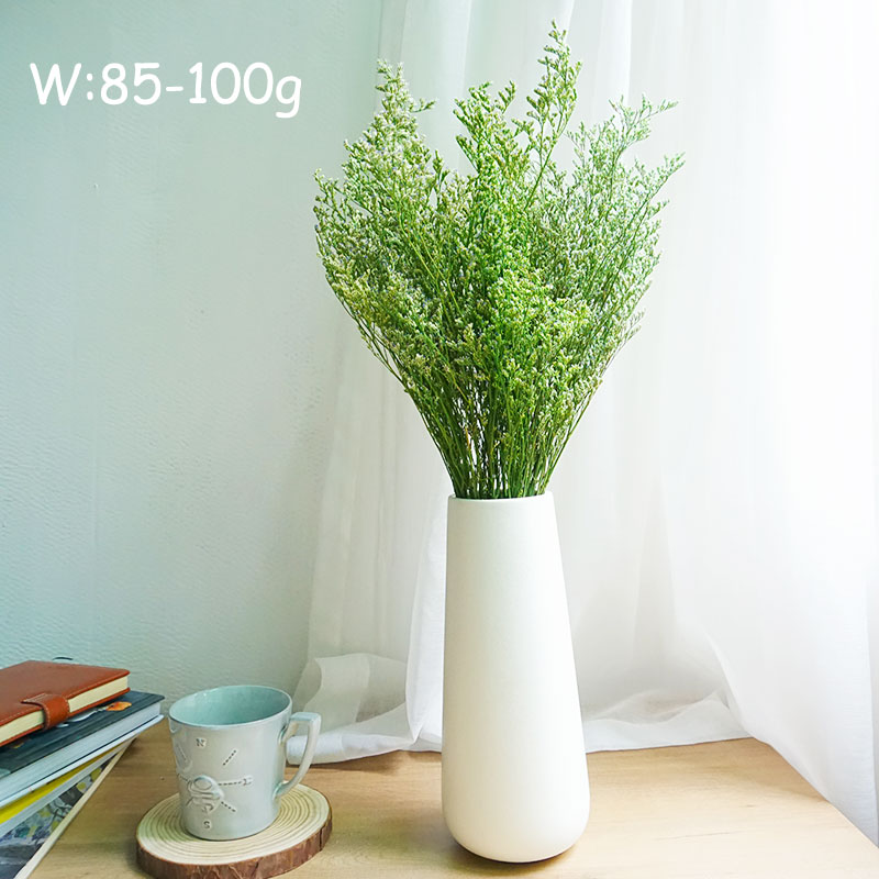 50g/보존된 발렌타인 그래스 리모니움 꽃 연인의 꽃꽂 - Dried Flower Bulk 리뷰 및 가격