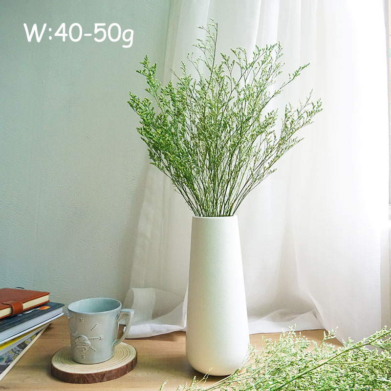 50g/보존된 발렌타인 그래스 리모니움 꽃 연인의 꽃꽂 - Dried Flower Bulk 리뷰 및 가격