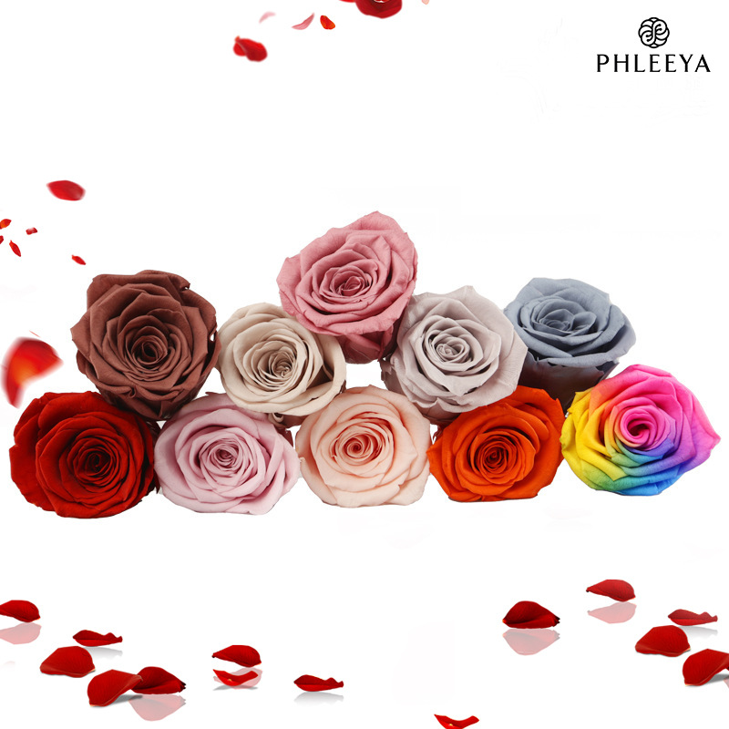 6pcs 영원한 장미 꽃 머리, 대형, 5-6cm -  - Dried Flower Bulk 리뷰 및 가격