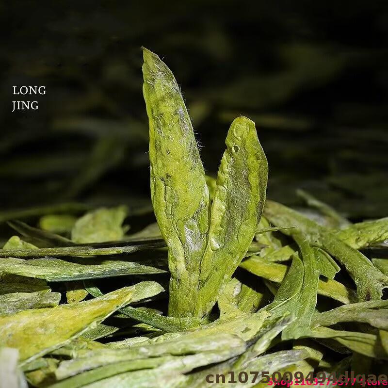100% 천연 대용량 롱징 DIY 장식 홈파티 고급 페 - Dried Flower Bulk 리뷰 및 가격