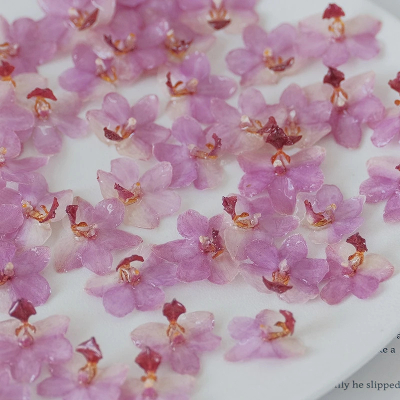 DIY 보석 천연 핑크 레진 난초 키트 수제 귀걸이 반 - Resin Jewelry Kit 리뷰 및 가격
