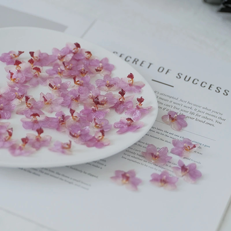 DIY 보석 천연 핑크 레진 난초 키트 수제 귀걸이 반 - Resin Jewelry Kit 리뷰 및 가격