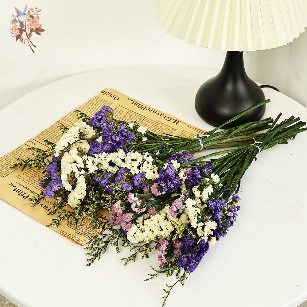100g 천연 진짜 물망초 꽃 꽃다발 믹스 리모니엄 잔 - Dried Flower Bulk 리뷰 및 가격