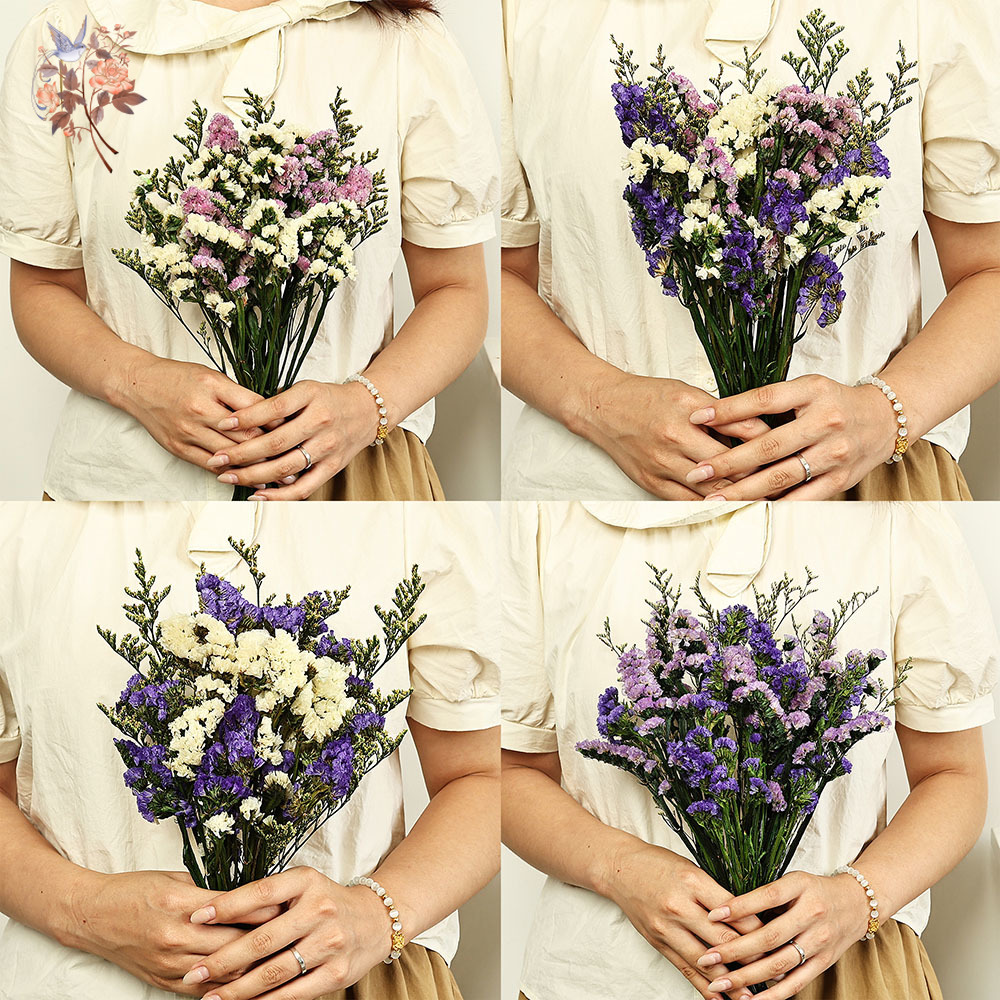 100g 천연 진짜 물망초 꽃 꽃다발 믹스 리모니엄 잔 - Dried Flower Bulk 리뷰 및 가격