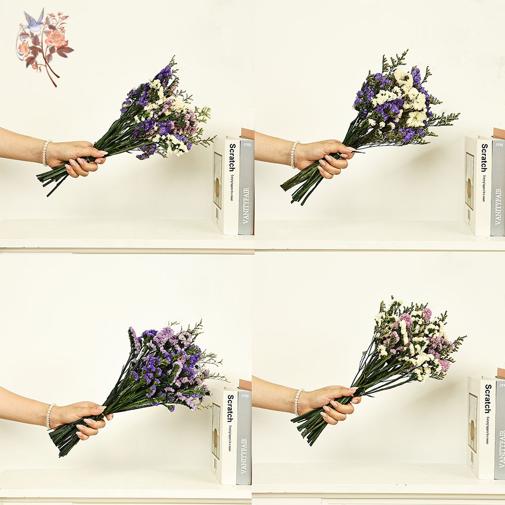 100g 천연 진짜 물망초 꽃 꽃다발 믹스 리모니엄 잔 - Dried Flower Bulk 리뷰 및 가격