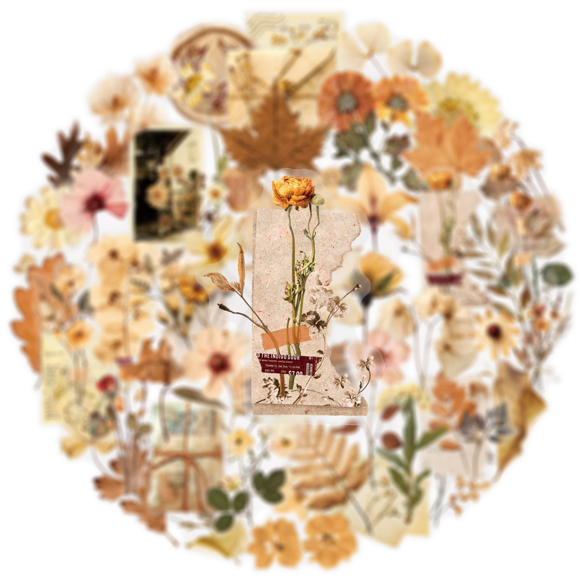 50개 투명 건조 꽃잎 표본 스티커 미학적 장식 문구류 - Dried Flower Bulk 리뷰 및 가격